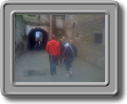 alley oh